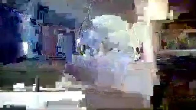 Thumbnail 1, spontaneous_i_am's Stream at Chaturbate, 24 months ago