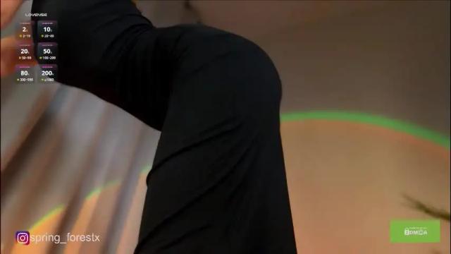 Image 7 of spring_forestx Stream on Chaturbate on 1 month ago