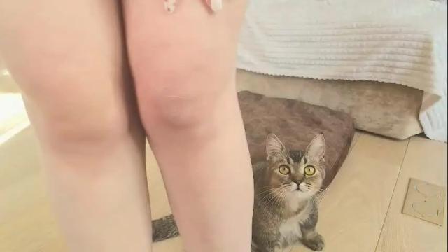 Image 2 of squikt Stream on Chaturbate on 22 days ago