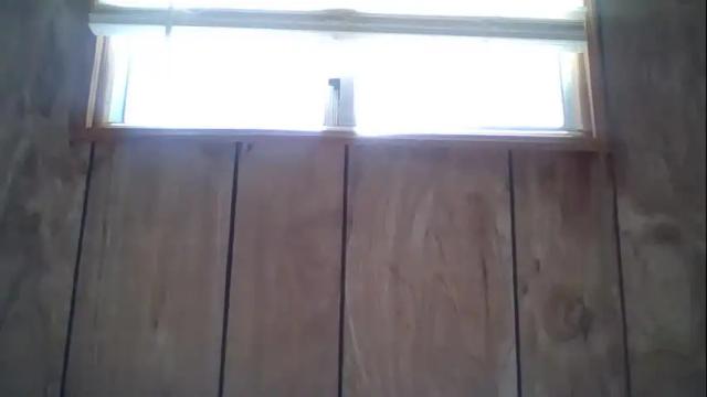 Image 8 of ssprincesscum Stream on Chaturbate on 19 months ago