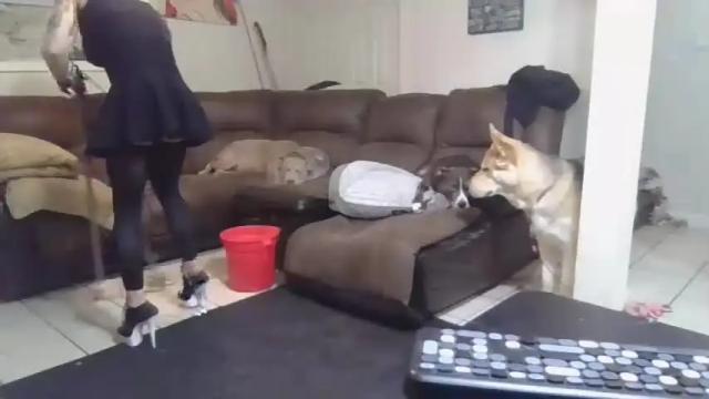 Thumbnail 1, stacytasteme's Stream at Chaturbate, 18 months ago