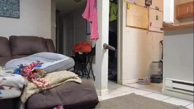Image 4 of stacytasteme Stream on Chaturbate on 2 months ago