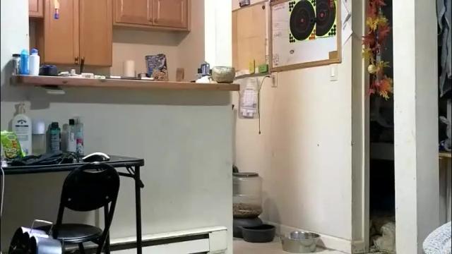 Image 2 of stacytasteme Stream on Chaturbate on 1 month ago