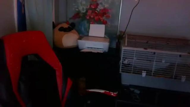 Thumbnail 2, starlight09102's Stream at Chaturbate, 13 months ago