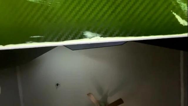 Image 4 of starlight09102 Stream on Chaturbate on 23 days ago