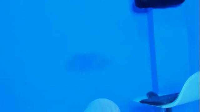 Thumbnail 3, stassiebell's Stream at Chaturbate, 1 month ago