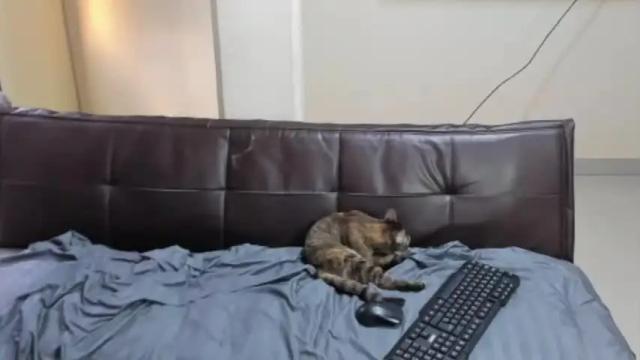Image 6 of stefan_litleee Stream on Chaturbate on 15 months ago