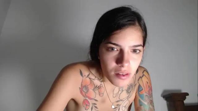 Image 3 of stella_art Stream on Chaturbate on 16 months ago