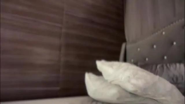 Image 10 of stellamckinley Stream on Chaturbate on 26 days ago