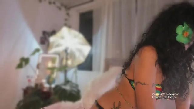Image 4 of stellart_ Stream on Chaturbate on 4 days ago