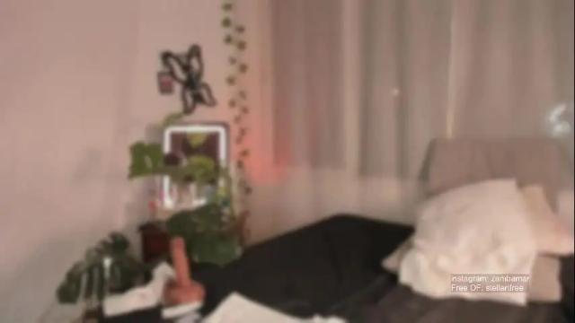 Image 10 of stellart_ Stream on Chaturbate on 1 month ago