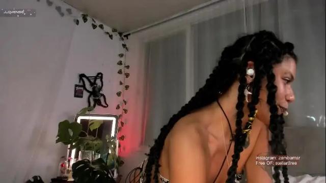 Image 7 of stellart_ Stream on Chaturbate on 1 month ago