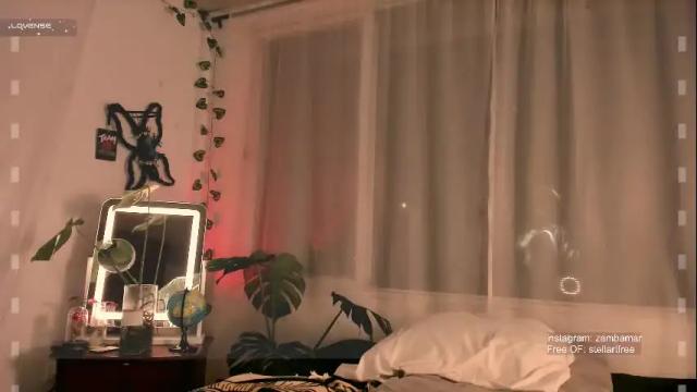 Image 4 of stellart_ Stream on Chaturbate on 1 month ago
