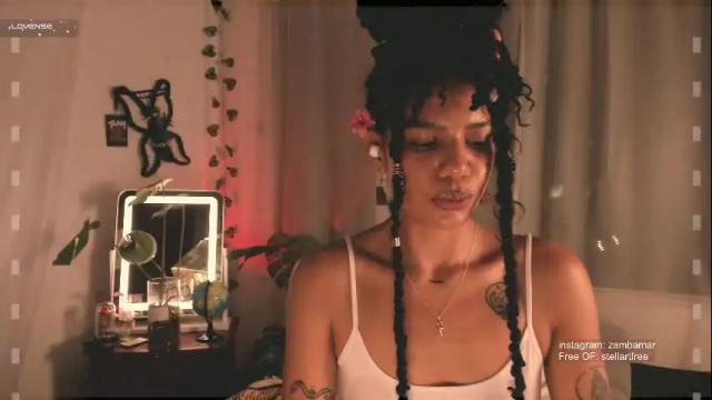Image 7 of stellart_ Stream on Chaturbate on 1 month ago