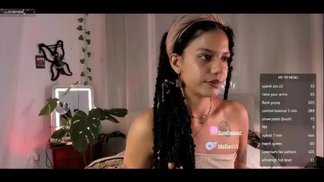 Image 8 of stellart_ Stream on Chaturbate on 1 month ago