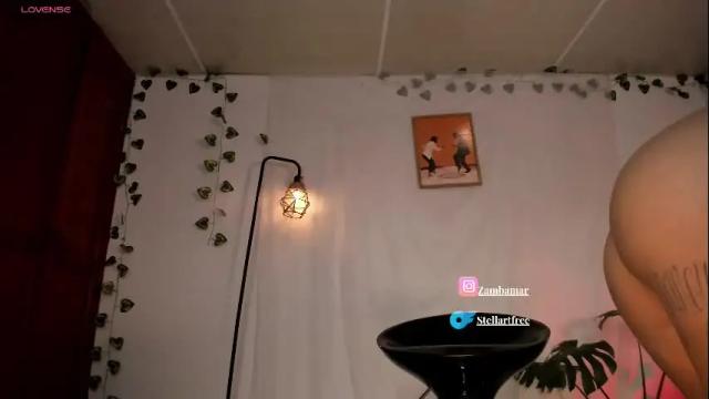 Thumbnail 2, stellart_'s Stream at Chaturbate, 1 day ago
