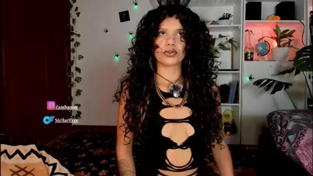 Image 8 of stellart_ Stream on Chaturbate on 22 days ago