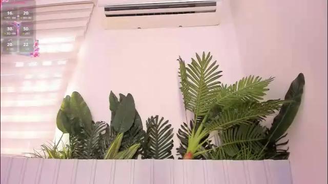 Image 7 of stephany__monroe Stream on Chaturbate on 22 days ago