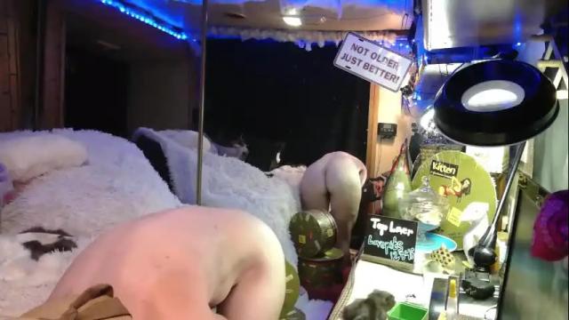 Image 11 of stonykat Stream on Chaturbate on 13 days ago
