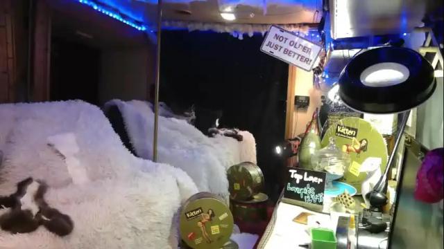 Thumbnail 3, stonykat's Stream at Chaturbate, 11 days ago