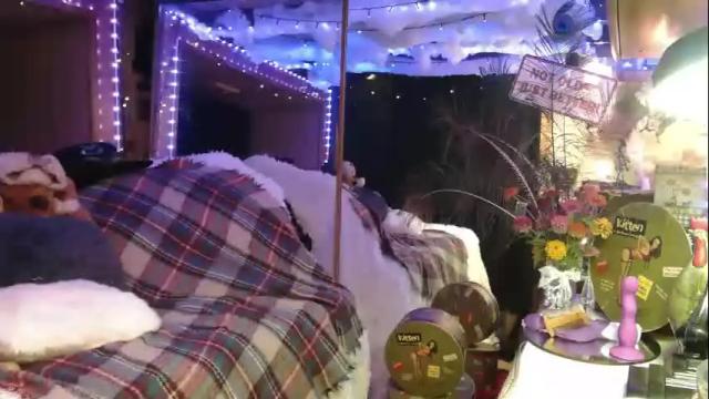Thumbnail 2, stonykat's Stream at Chaturbate, 14 days ago