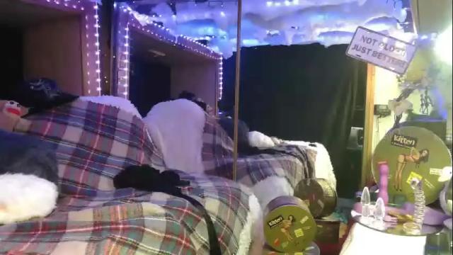 Image 4 of stonykat Stream on Chaturbate on 28 days ago