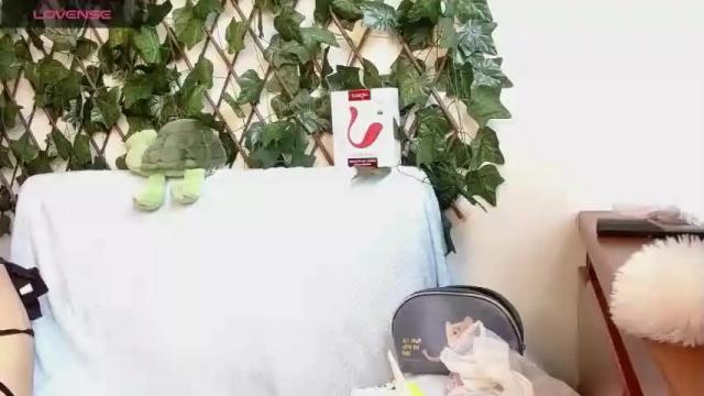 Image 4 of sttar_more_ Stream on Chaturbate on 19 months ago