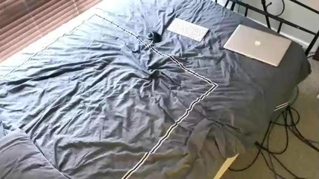Image 10 of studio117 Stream on Chaturbate on 15 months ago