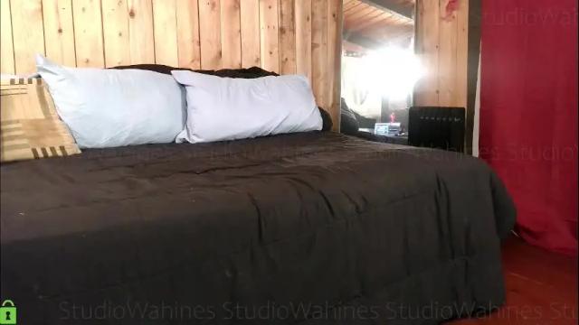 Image 4 of studiowahines Stream on Chaturbate on 1 month ago