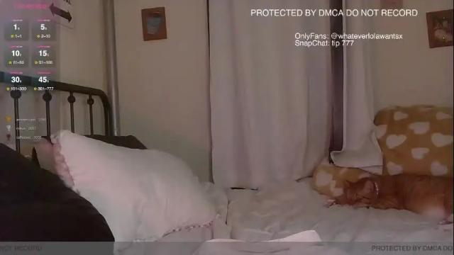 Image 12 of sublovergirl Stream on Chaturbate on 1 month ago