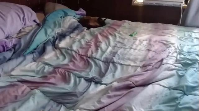 Thumbnail 3, sugartits20027's Stream at Chaturbate, 20 months ago