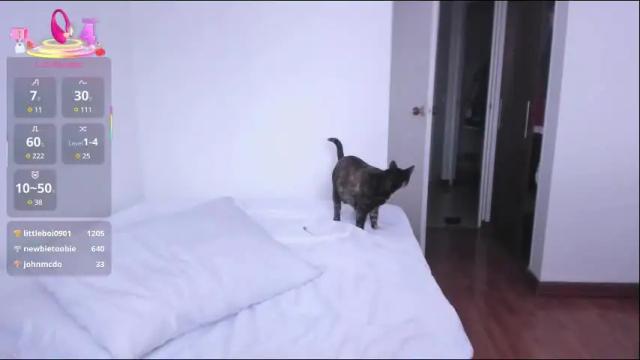 Image 6 of sumeragi_cat Stream on Chaturbate on 1 month ago