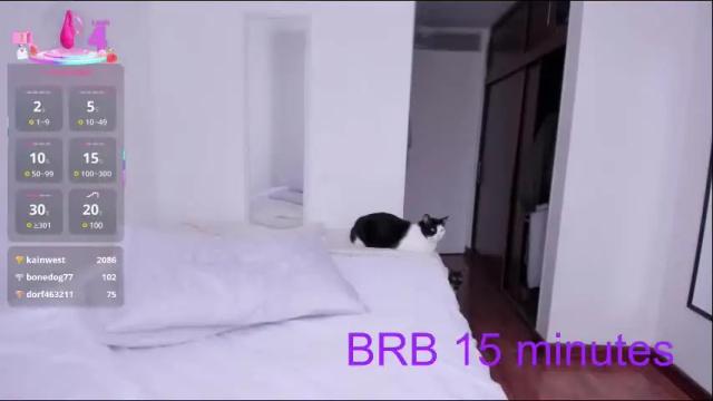 Image 6 of sumeragi_cat Stream on Chaturbate on 4 days ago