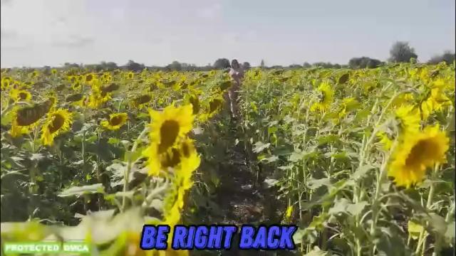 Image 4 of sunflower0907 Stream on Chaturbate on 2 months ago