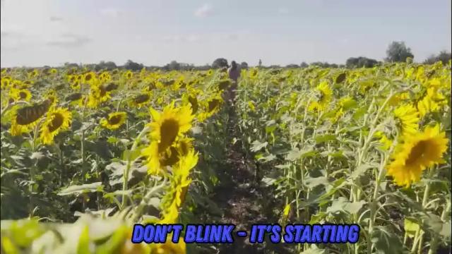 Thumbnail 1, sunflower0907's Stream at Chaturbate, 8 days ago