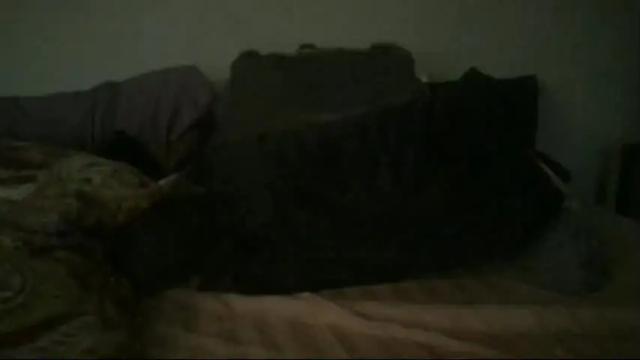 Image 3 of sunny_clementine Stream on Chaturbate on 2 months ago