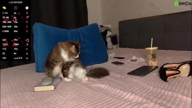 Image 12 of supa_fly_ Stream on Chaturbate on 1 month ago