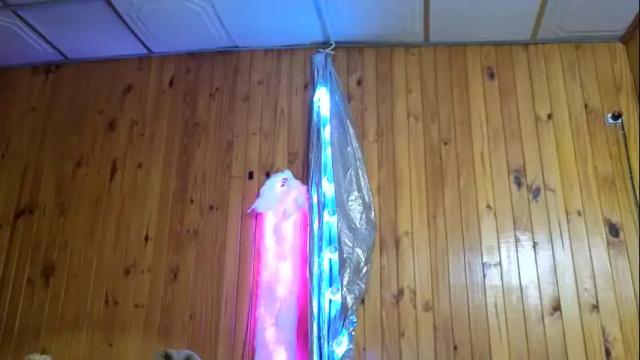 Image 12 of super_jony Stream on Chaturbate on 2 months ago