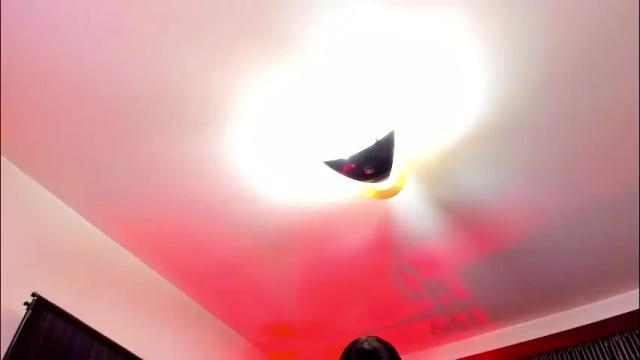 Thumbnail 1, superioralphacouple's Stream at Chaturbate, 16 days ago