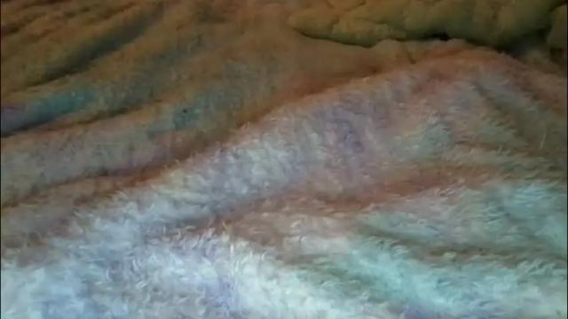 Image 2 of suseee Stream on Chaturbate on 1 month ago