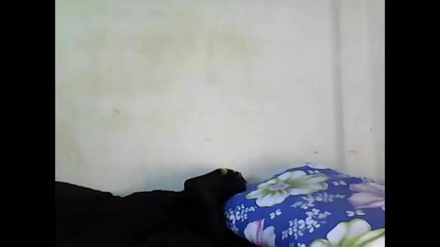 Image 7 of sweet_fridah Stream on Chaturbate on 1 month ago