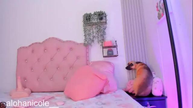Image 7 of sweet_nicole_1 Stream on Chaturbate on 1 month ago