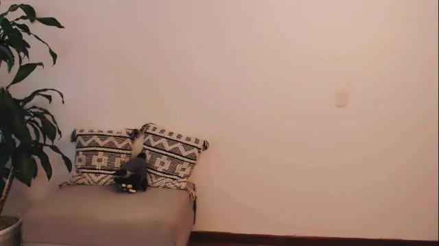 Image 2 of sweet_pervertion Stream on Chaturbate on 8 days ago