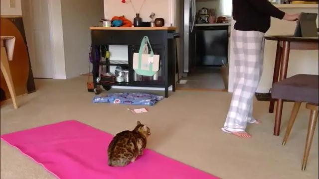 Image 2 of sweet_truffle Stream on Chaturbate on 3 days ago