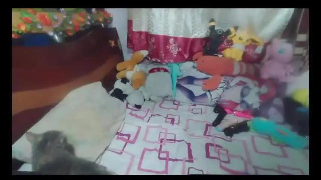 Image 12 of sweetaliceelovesex Stream on Chaturbate on 16 months ago