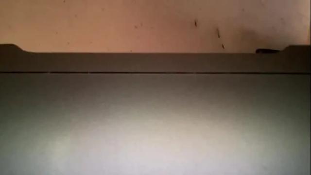 Image 12 of sweetbee3 Stream on Chaturbate on 13 months ago