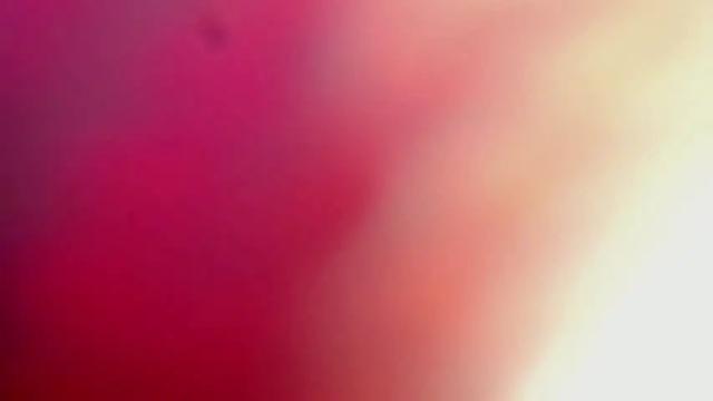 Image 2 of sweetlaurasaenz Stream on Chaturbate on 13 months ago