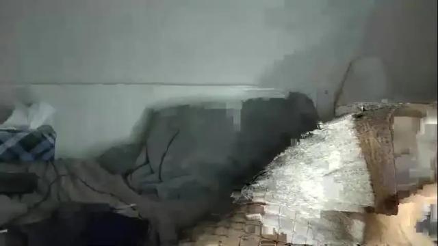 Image 2 of sweetlilyinthewild Stream on Chaturbate on 1 month ago