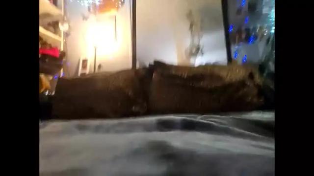 Image 8 of sweetsexxygia Stream on Chaturbate on 8 days ago