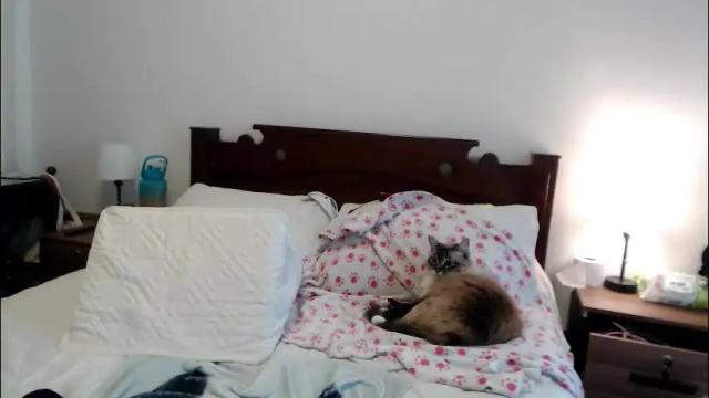 Image 10 of sweetsmile28 Stream on Chaturbate on 2 months ago